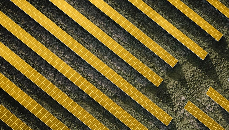 Diagonal verlaufende Reihen gelber Solarmodule aus der Vogelperspektive